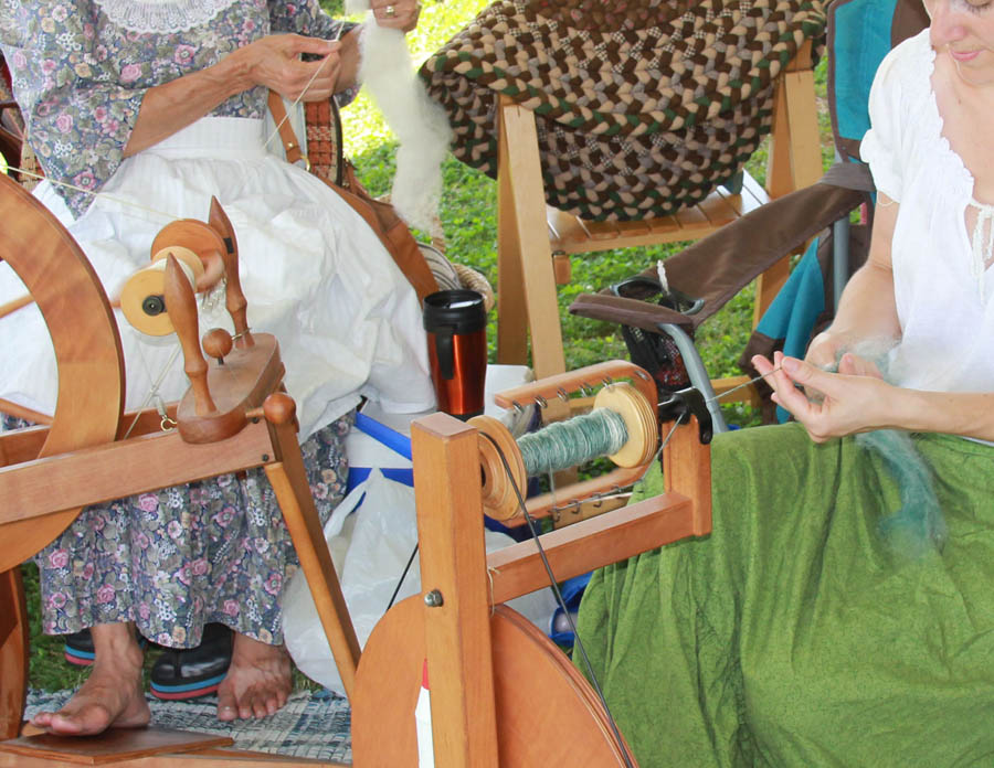 palomino horse in the pasture